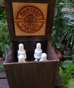 Caixa de madeira para guardar 4 florais