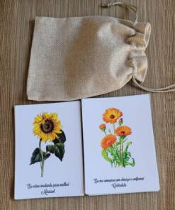 Cartas Compostos Florais